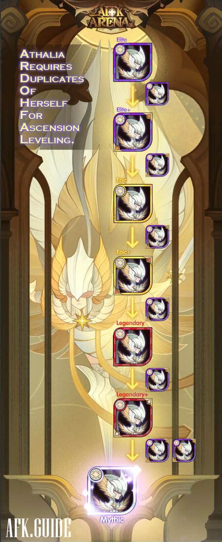 afk arena ascension guide